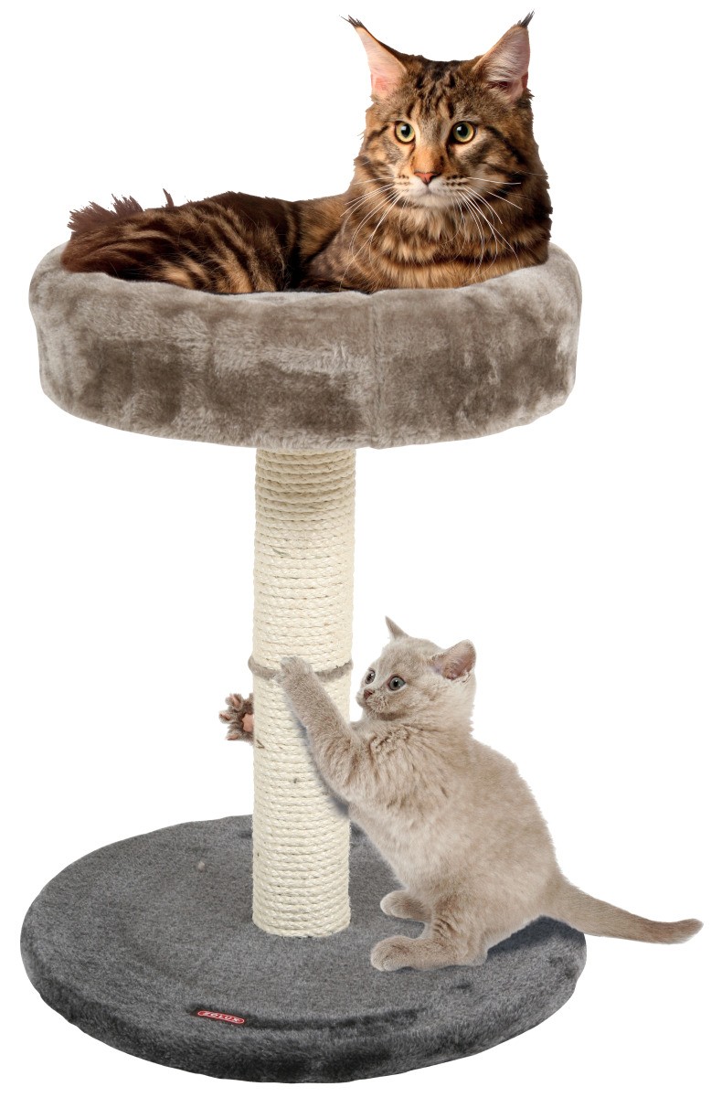 arbre a chat pas cher villaverde